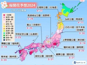 樱花官网官方入门网站2023;樱花官网官方入门网站 2023 是什么？