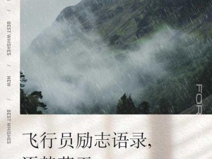 以天使之吻养成系统为背景，飞行员培养的成长之旅：逐梦蓝天，筑梦翱翔