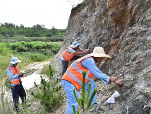 大地资源网官方网站,如何访问大地资源网官方网站？