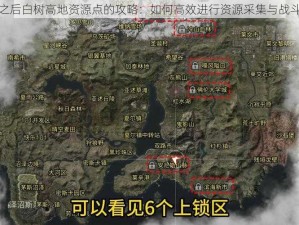 关于明日之后白树高地资源点的攻略：如何高效进行资源采集与战斗技巧解析