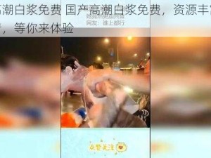 国产高潮白浆免费 国产高潮白浆免费，资源丰富，无码高清，等你来体验