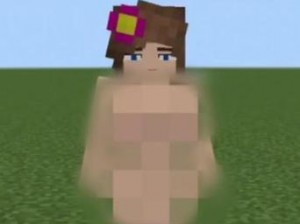 老外Minecraft中的女性角色 老外Minecraft 中女性角色长什么样？