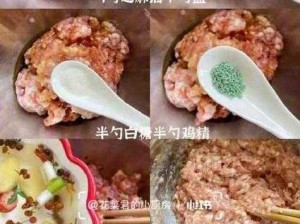 授课方式by肉馅小水饺美国;如何在美国以授课方式 by 肉馅小水饺进行授课？