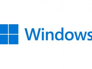 美国和欧洲 windows 操作系统，满足用户个性化需求