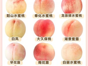 一区二区蜜桃、一区二区蜜桃有何区别？应该如何选择？