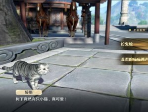 天涯明月刀手游：休闲玩法探秘——猫之友的温馨世界