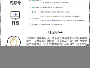 SEO 短视频网页入口引流技巧：轻松提升网站流量的秘诀