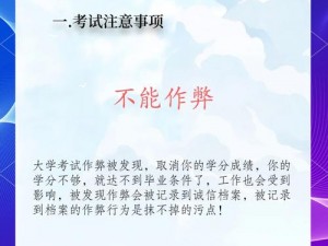 不要挂科：第十二关通关攻略指南 - 掌握关键点，逆袭学业挑战