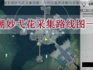 鸣潮手游妙弋花采集攻略：分布位置图详解与采集技巧分享