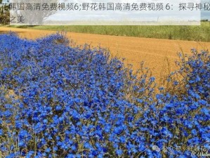 野花韩国高清免费视频6;野花韩国高清免费视频 6：探寻神秘的自然之美