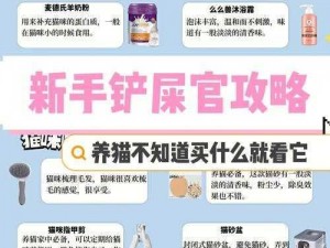 京城铲屎官必备：安装指南与配置说明手册