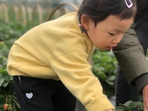 小猪罗志祥代言的草莓，香甜多汁，每一口都充满了幸福的味道