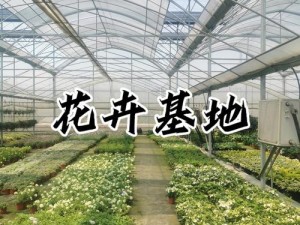 草花基地;如何打造一个盈利的草花基地？