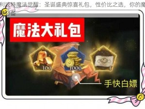 哈利波特魔法觉醒：圣诞盛典惊喜礼包，性价比之选，你的魔法世界必备