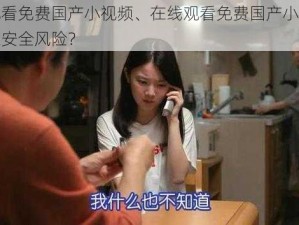 在线观看免费国产小视频、在线观看免费国产小视频是否存在安全风险？