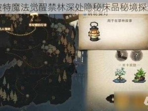 哈利波特魔法觉醒禁林深处隐秘床品秘境探索指南