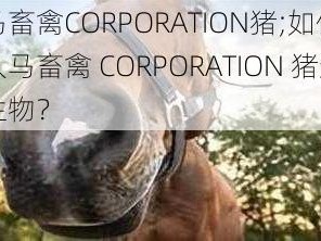 人马畜禽CORPORATION猪;如何看待人马畜禽 CORPORATION 猪这种生物？