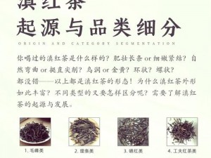 雷索纳斯红茶战争活动精彩纷呈：一场关于红茶文化与历史的盛宴介绍