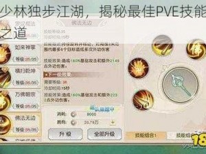 花剑少林独步江湖，揭秘最佳PVE技能组合选择之道