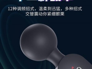 韩国 DM 抖咪——多功能智能震动棒，让你享受前所未有的刺激体验