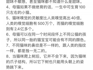 养了个猫安装指南与配置说明手册