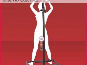 bdsm性折磨bdsm欧美hd-BDSM 性折磨：欧美 HD 极致体验