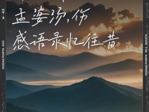 梦浮岁月中寻梦缘，孟婆深情演绎好感度攻略之圆满结局