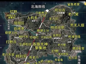 绝地求生海岛地图正方形打野攻略详解：核心战术与点位选择策略