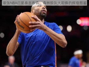 最强NBA巨星泰吉布森：森林狼队大前锋的辉煌图鉴