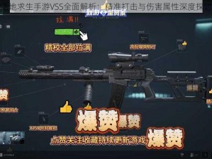 绝地求生手游VSS全面解析：精准打击与伤害属性深度探讨