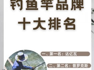 领路人钓具风云榜：鱼竿实力排名榜，让您在潮流中掌舵