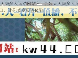 5G天天奭多人运动网站入口;5G 天天奭多人运动网站入口，让你畅享极致体验