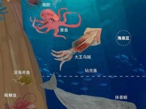 七大深海栖姬揭秘：神秘海洋生物的世界探索与奥秘解析