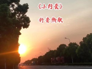 抖音热歌揭秘：橡树绿叶与白色竹篱笆之间的旋律传奇