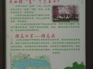 樱花湿地福利院教学环境，打造优质教育资源