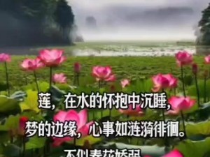 女性半夜莲花开放的治疗【女性半夜莲花开放是怎么回事？应该如何治疗？】