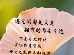 关于不后悔遇见的每一张壁纸：生命的奇迹与美丽的邂逅