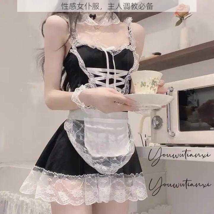 性感女仆服，主人调教必备