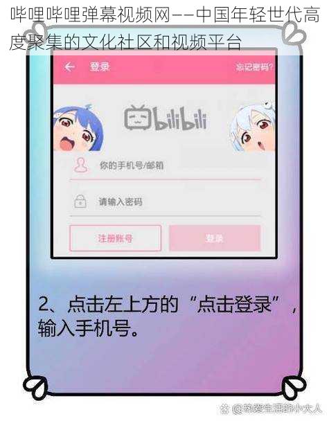 哔哩哔哩弹幕视频网——中国年轻世代高度聚集的文化社区和视频平台