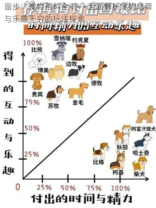 留步：宠物百科全书——全面解析宠物培育与乐趣无穷的玩法探索