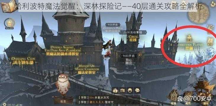 哈利波特魔法觉醒：深林探险记——40层通关攻略全解析