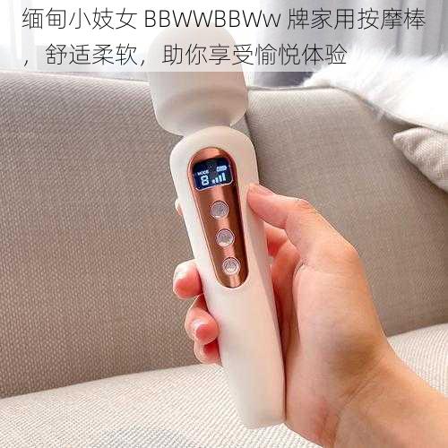 缅甸小妓女 BBWWBBWw 牌家用按摩棒，舒适柔软，助你享受愉悦体验