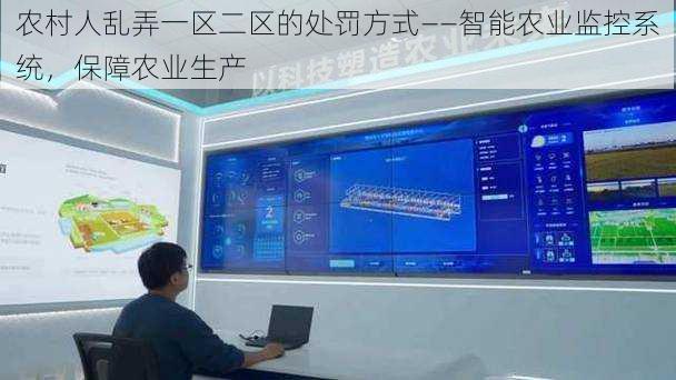 农村人乱弄一区二区的处罚方式——智能农业监控系统，保障农业生产