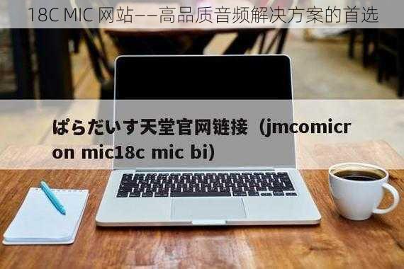 18C MIC 网站——高品质音频解决方案的首选