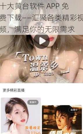 十大黄台软件 APP 免费下载——汇聚各类精彩视频，满足你的无限需求