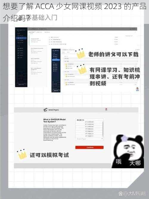 想要了解 ACCA 少女网课视频 2023 的产品介绍吗？