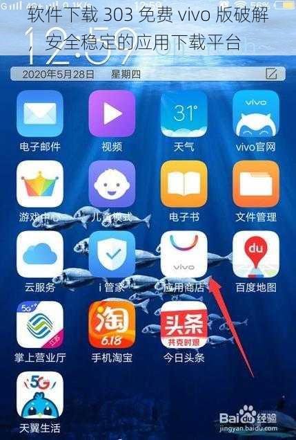 软件下载 303 免费 vivo 版破解，安全稳定的应用下载平台