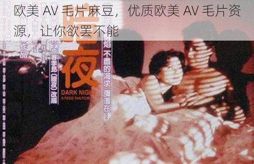 欧美 AV 毛片麻豆，优质欧美 AV 毛片资源，让你欲罢不能