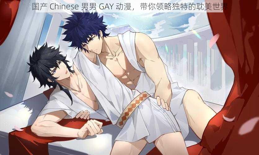 国产 Chinese 男男 GAY 动漫，带你领略独特的耽美世界