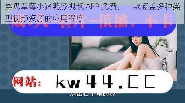 丝瓜草莓小猪鸭脖视频 APP 免费，一款涵盖多种类型视频资源的应用程序